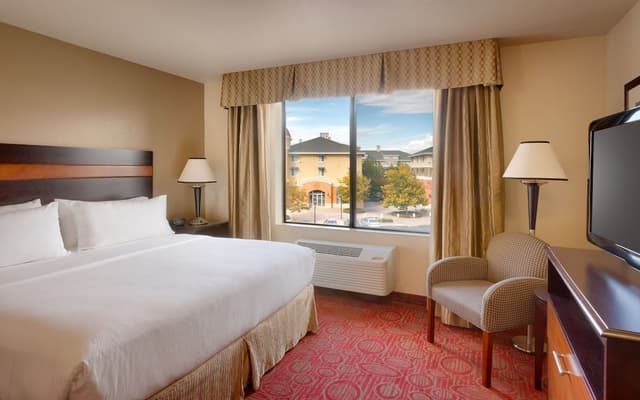 Suite, 1 Bedroom