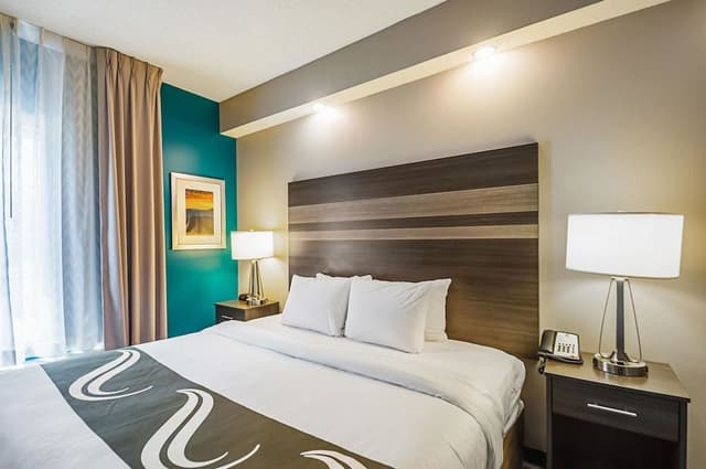 Standard Room, 1 King Bed, Non Smoking