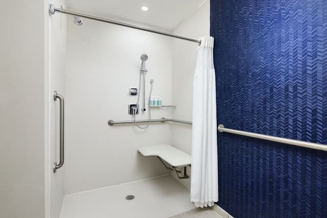Room, 1 King Bed (Mobility/Hearing Access, Roll-in Shwr)