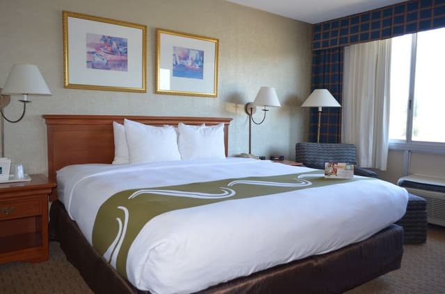 Room, 1 King Bed, Non Smoking