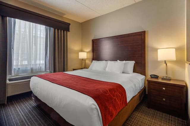 Deluxe Suite, 1 Bedroom, Non Smoking (Living Room, 1 King Bed, Rain Shower)
