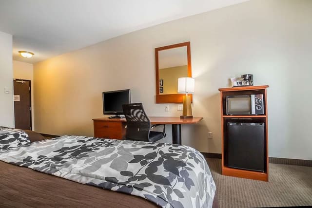Standard Room, 1 King Bed, Non Smoking