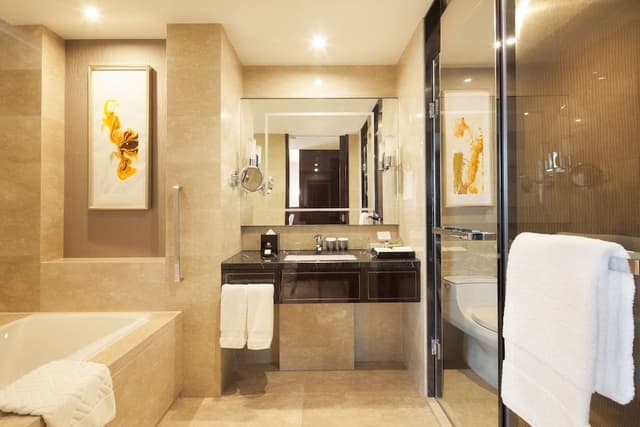 Twin Deluxe Lake View Room