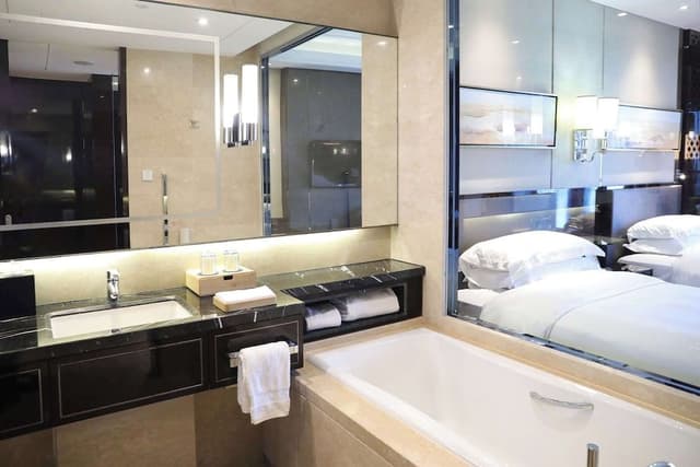 Twin Deluxe Lake View Room