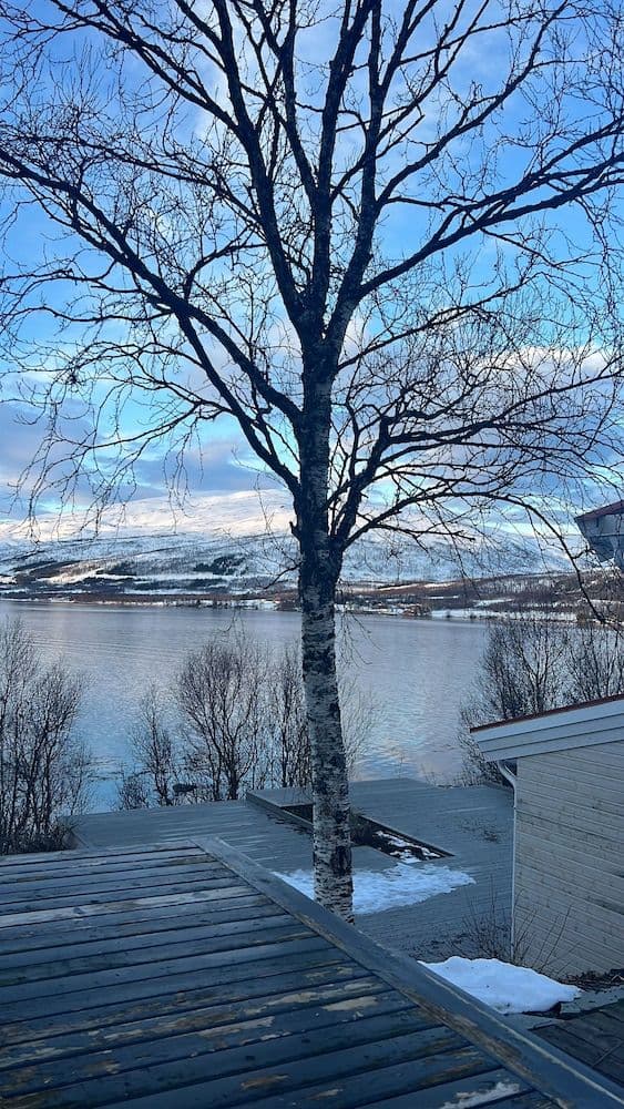Basic Studio Suite, 1 Bedroom, Kitchen, Ocean View (Håkøyveien 151)