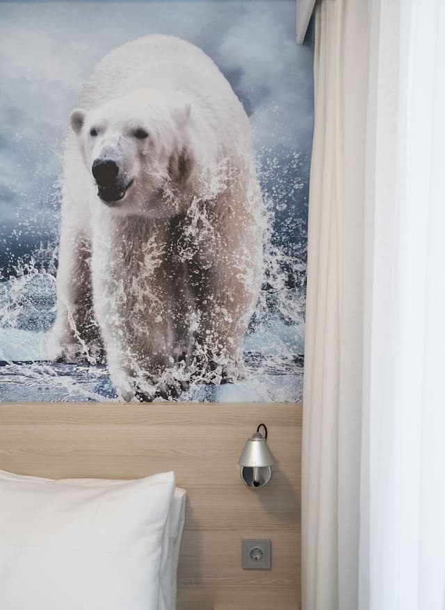 Standard Single Room, Non Smoking