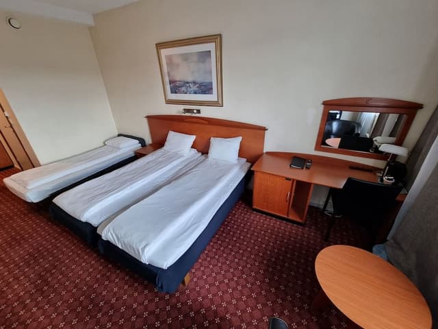 Basic Triple Room