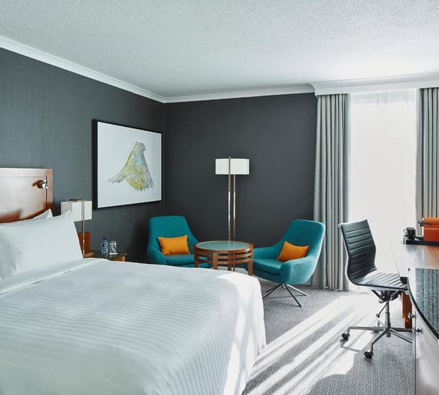 Deluxe Room, Guest room, 1 King