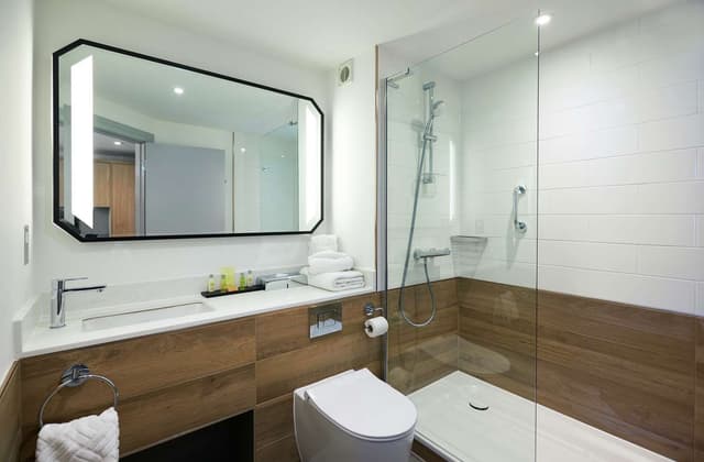 DELUXE ROOM WITH HILTON PRIVATE WELLNESS AREA
