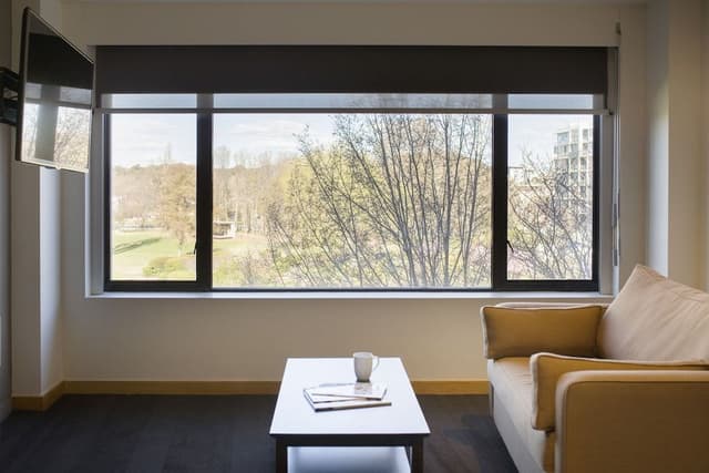 Premium Room, 1 King Bed (Glebe Park View)