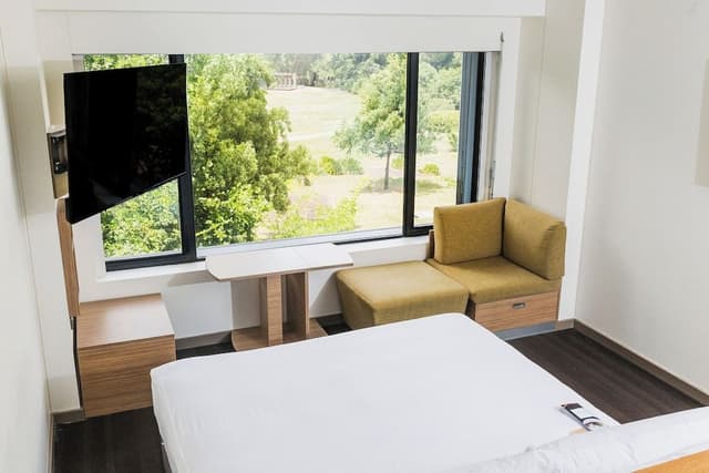 Premium Room, 1 King Bed (Glebe Park View)