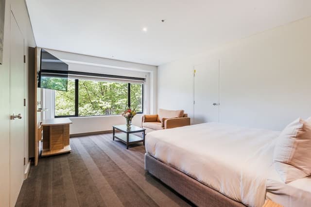 Premium Room, 1 King Bed (Glebe Park View)