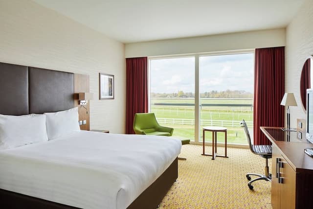 Room, 1 King Bed