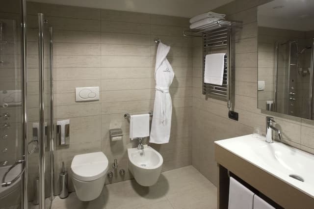 Executive Double or Twin Room