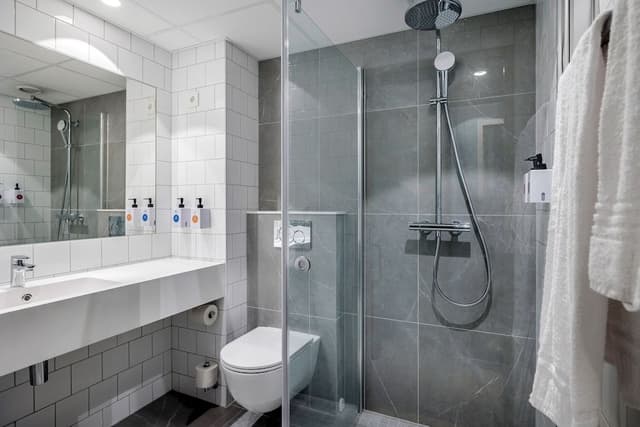 Deluxe Double Room, 1 Double Bed with Sofa bed, Non Smoking