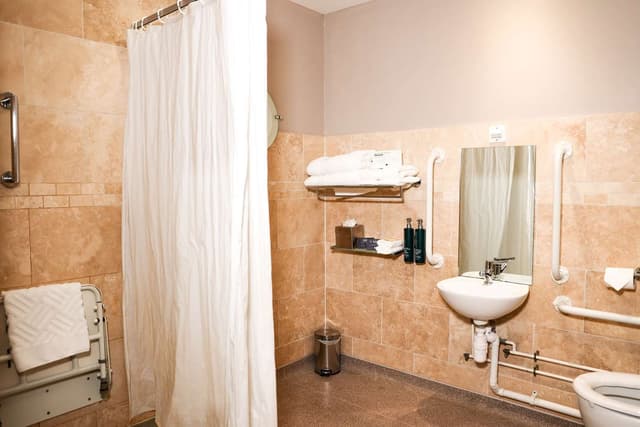 KING ACCESSIBLE ROOM WITH DAYTIME PITCH VIEW