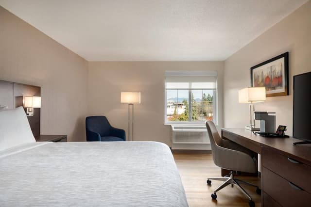 Room, 1 King Bed, Non Smoking, Mountain View