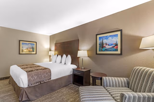 Standard Room, 1 King Bed, Non Smoking, Refrigerator (Pet Friendly)