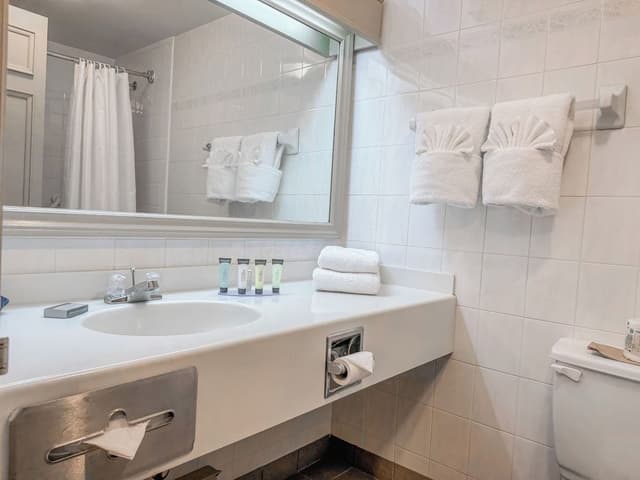 Standard Double Room, 2 Double Beds, Pets Not Allowed