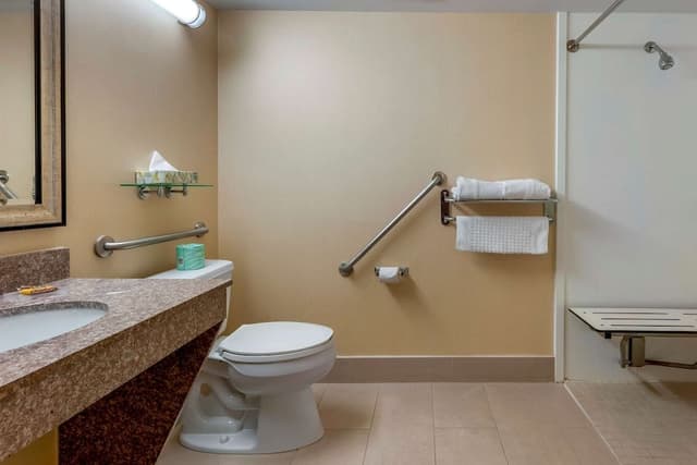 Executive Room, 1 King Bed, Accessible, Refrigerator & Microwave (Walk-in Shower)