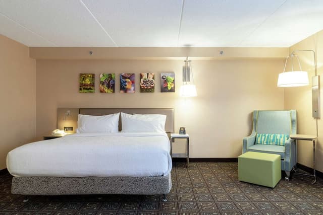 1 KING BED ACCESSIBLE ROOM
