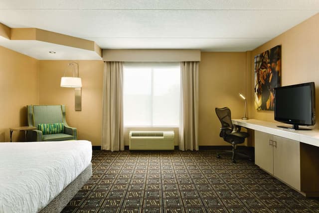 1 KING BED ACCESSIBLE ROOM