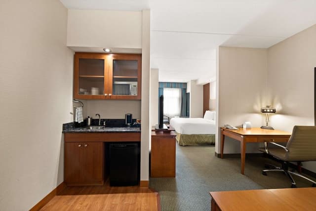 Suite, 1 King Bed, Non Smoking, Kitchenette (Shower Only;with Sofabed)