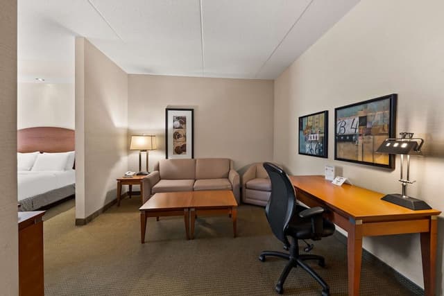 Suite, 1 King Bed, Non Smoking, Kitchenette (Shower Only;with Sofabed)