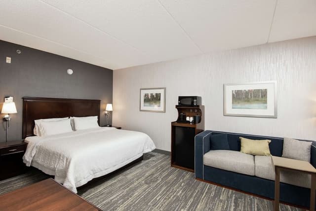 Standard Room, 1 King Bed with Sofa bed, Accessible, Non Smoking
