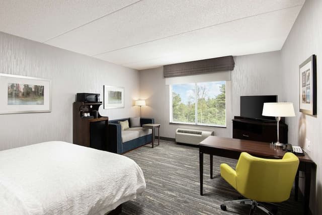 Standard Room, 1 King Bed with Sofa bed, Accessible, Non Smoking