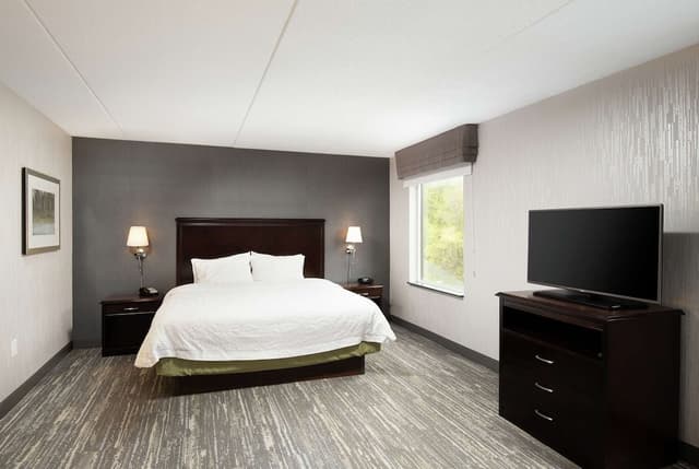 Suite, 1 King Bed with Sofa bed, Non Smoking