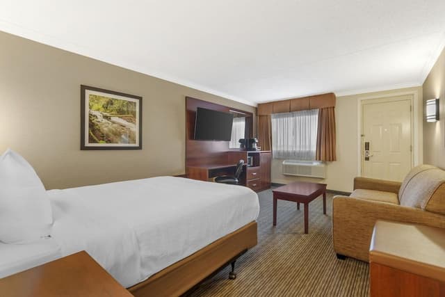 Standard Room, 1 Queen Bed, Non Smoking, Refrigerator & Microwave (2nd Floor;with Sofabed)