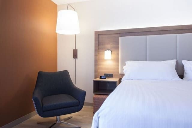 Suite, 1 King Bed with Sofa bed