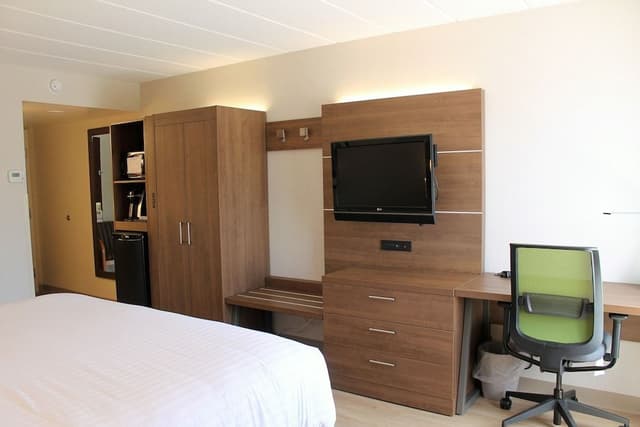 Suite, 1 King Bed with Sofa bed