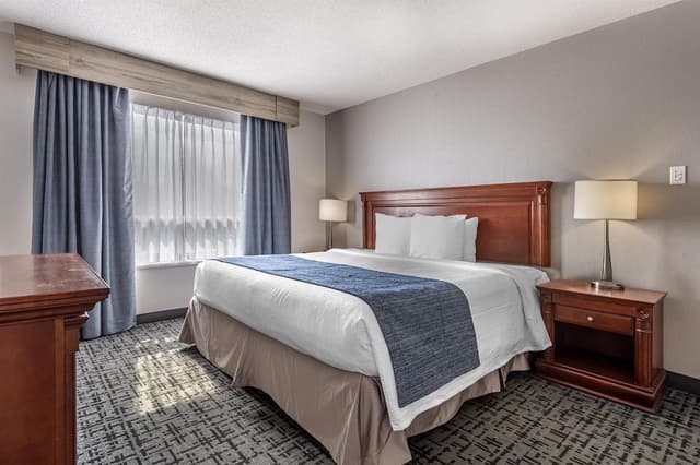 Standard Room, 1 King Bed, Non Smoking, Refrigerator & Microwave (with Sofabed)