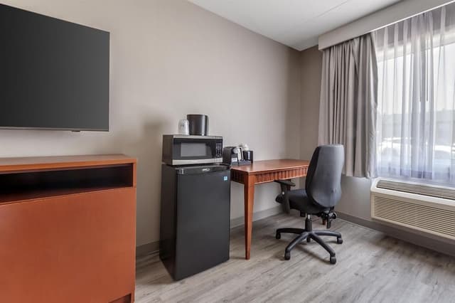 Standard Room, 1 King Bed, Non Smoking, Refrigerator & Microwave (with Sofabed)