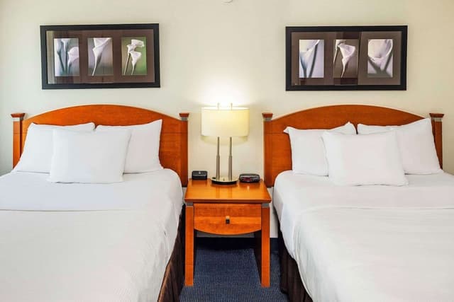 Standard Room, 2 Double Beds, Non Smoking