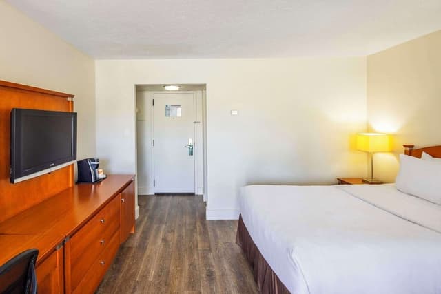 Room, 1 Queen Bed, Non Smoking