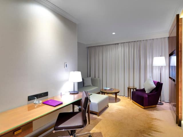 Park Suite with Club Lounge Access