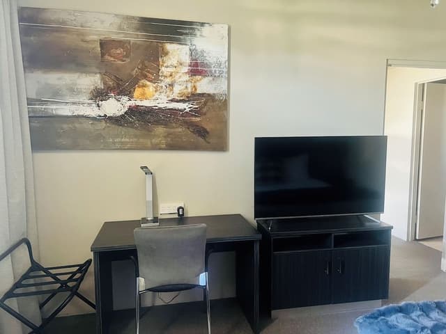 Luxury Apartment