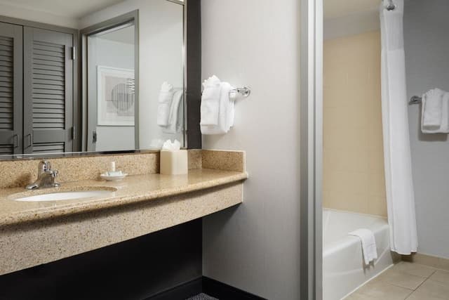 Suite, 1 Bedroom (Hearing Accessible)