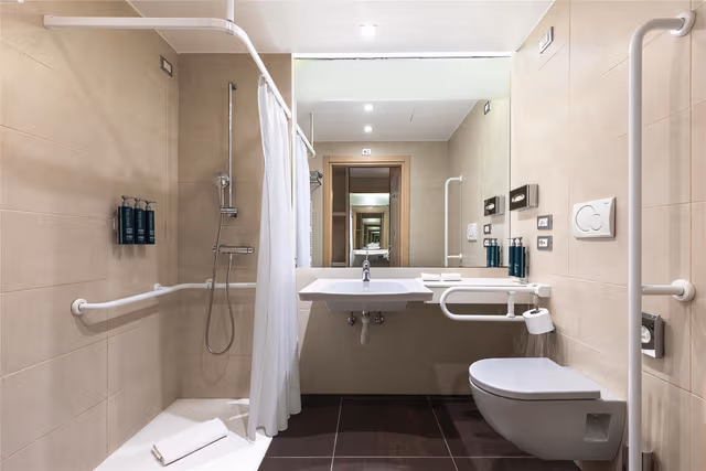 KING ACCESSIBLE ROOM