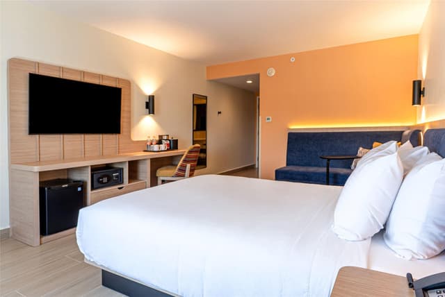 1 KING BED DELUXE ROOM NONSMOKING