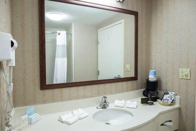 1 KING BED DELUXE ROOM NONSMOKING