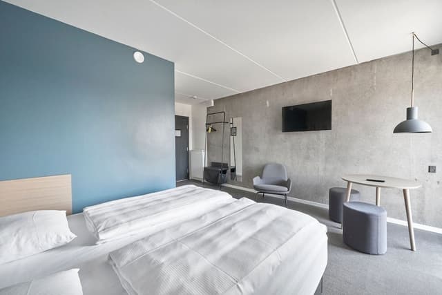 Standard Double Room, 1 King Bed