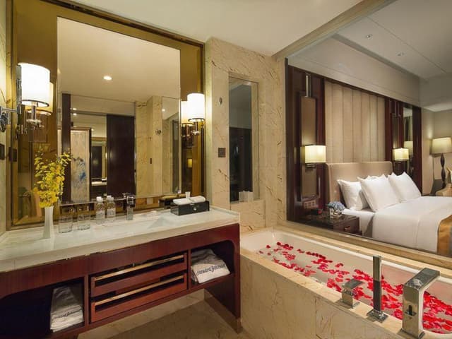 Standard Suite