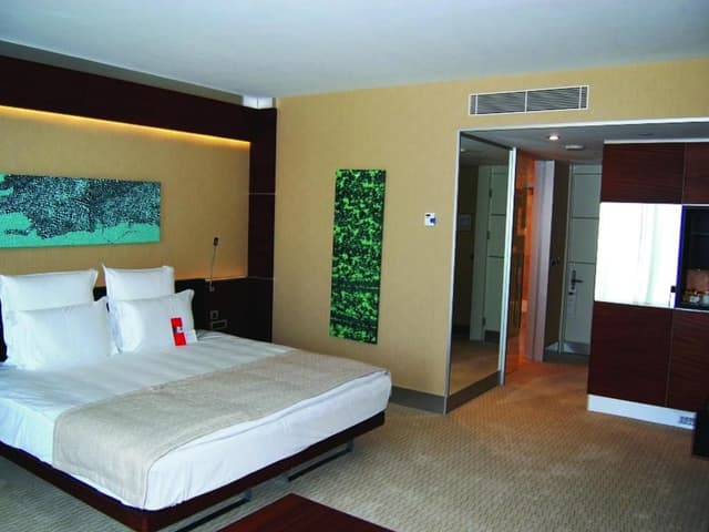 Swiss Executive Room with City View