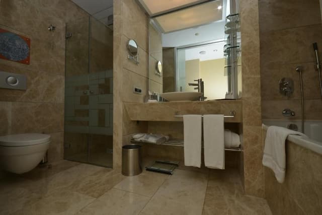 Swiss Executive Room with City View