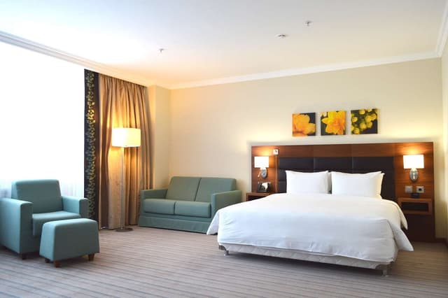 KING ACCESSIBLE ROOM
