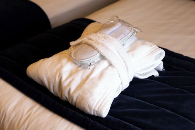 Deluxe Room, 2 Twin Beds, Non Smoking